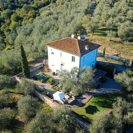 Querciabella * Lucca